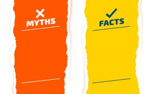 Prevention is Better than Cure in the Digital Jungle: COMPARISON